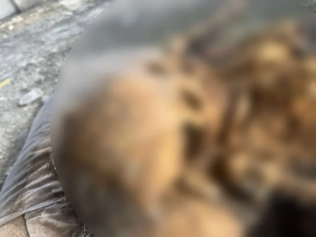 Bangkok Man’s Lost iPhone Returned—With Chilling Skeleton Photos Inside