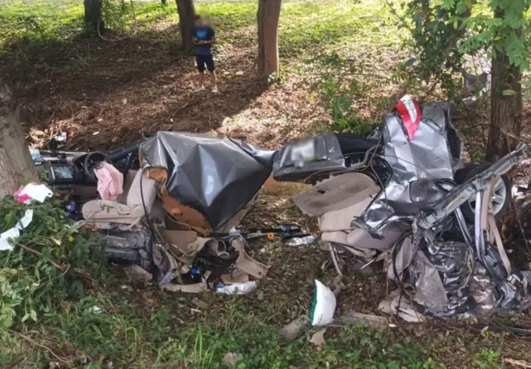 Miracle Escape: Man Survives Horror Crash as Car Splits in Two