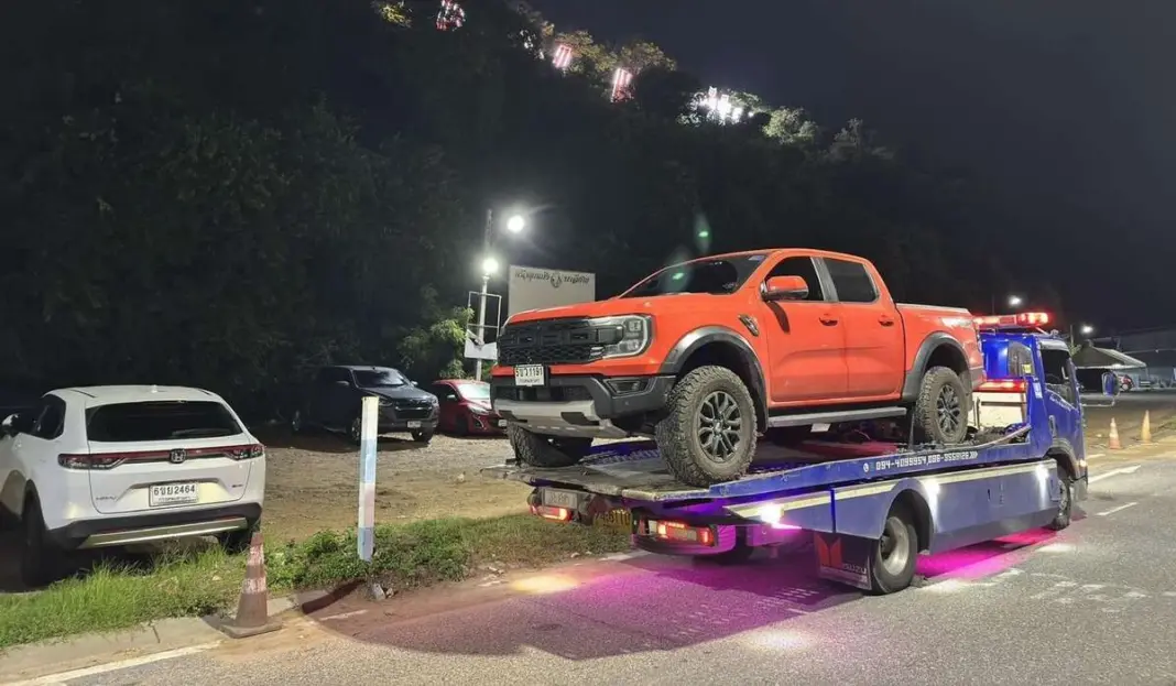 Pattaya cracks down on stray dogs after Bali Hai Pier attack