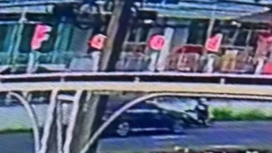 Russian Driver Hits Thai Gran and Boy in Phuket Horror Crash