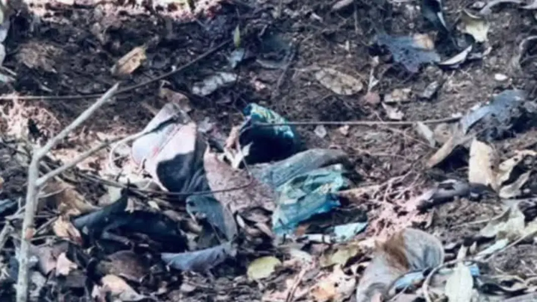 Thai ranger loses leg in landmine blast near Cambodia border