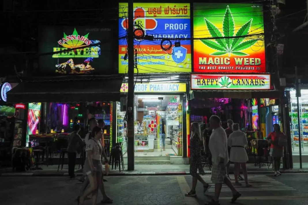 Thailand’s Cannabis U-Turn: Government Declares Drug War Back On